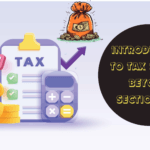 Introduction to Tax Saving Beyond Section 80C