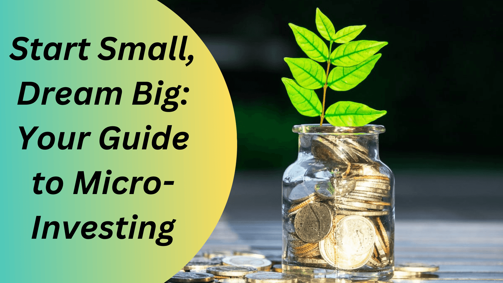 Micro-Investing